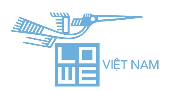 lowe vietnam.jpg