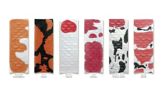 koi fish feed invite 563.jpg