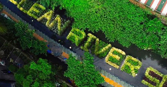 hana-newspage_1 (1).jpg