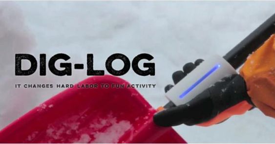 Dig-Log.jpg