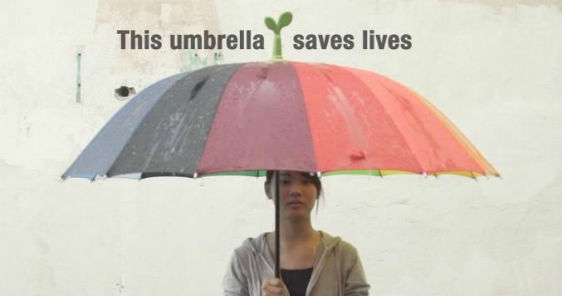 Rain sprout 1 563.jpg