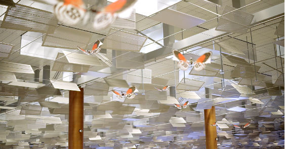 dancing_butterflies_flying_through_changi_airport_as_part_of_be_a_changi_millionaire_promotion.jpg