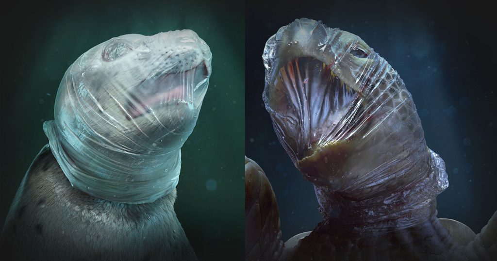 Campaign Spotlight “The Plastic You Use Once Tortures the Oceans