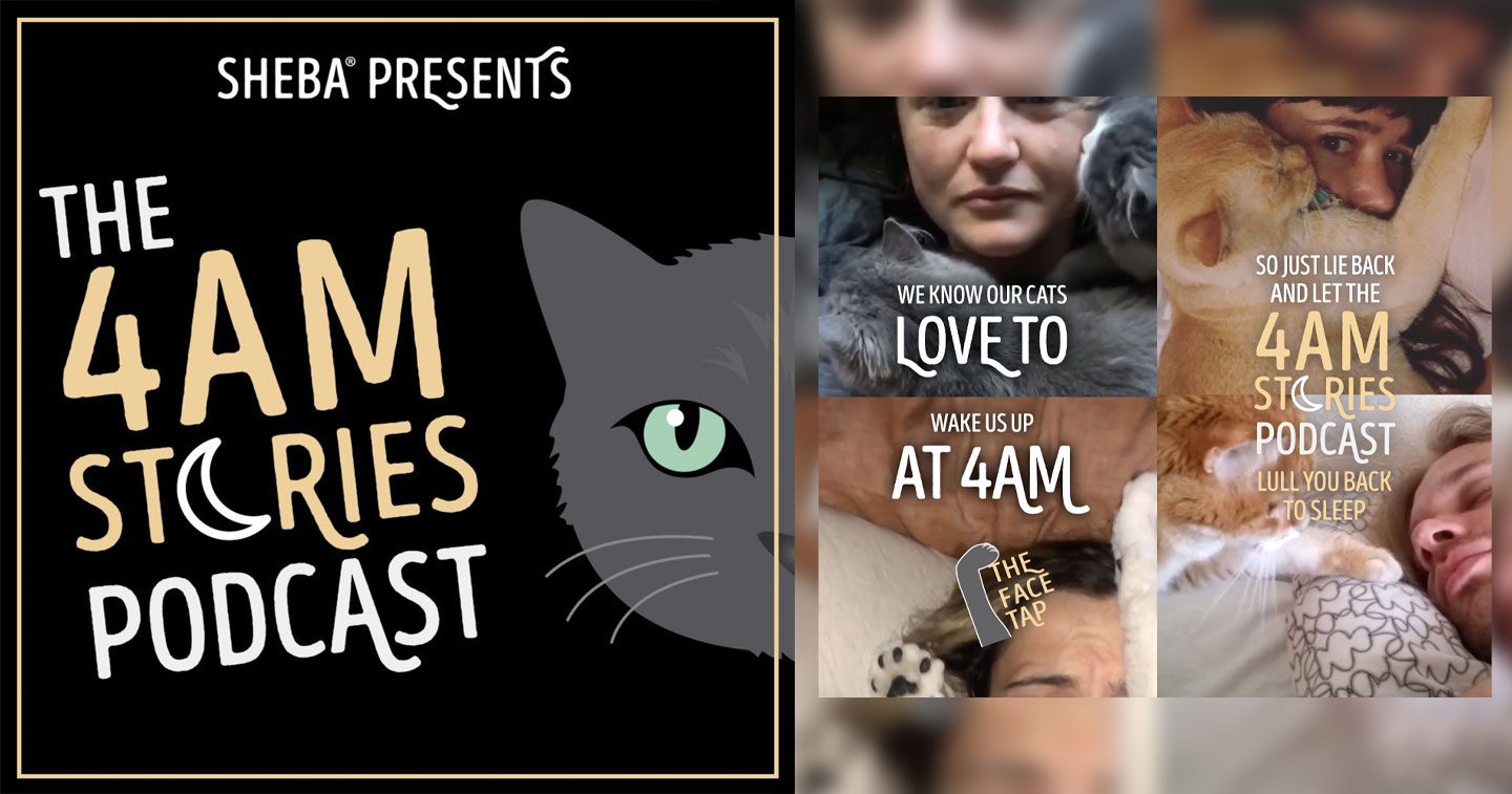 Campaign Spotlight SHEBA bonds with cat owners over 4am wake up