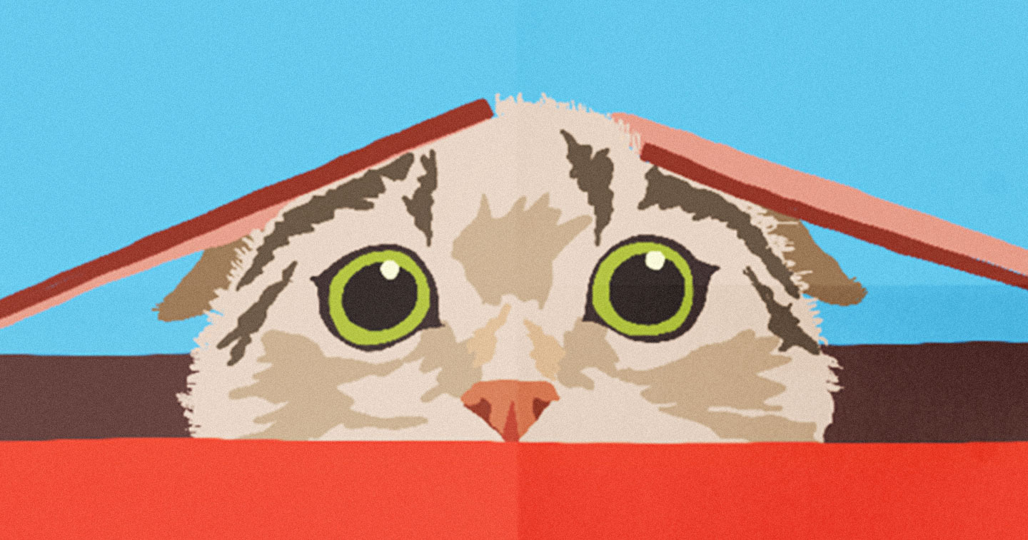 Campaign Spotlight Cats In A Box Brazilian NGO festive campaign for