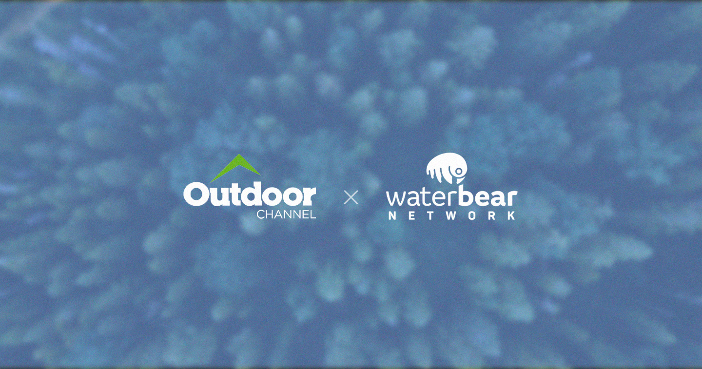 Entertainment Exclusive nonstop WaterBear Network Programming