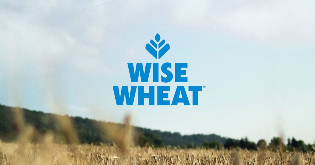Allied Pinnacle appoints Molasses as creative lead for launch of innovative Wise Wheat brand HERO
