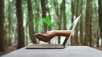 Earth Day article HERO