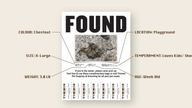 Found Poop Case Board 1 hero