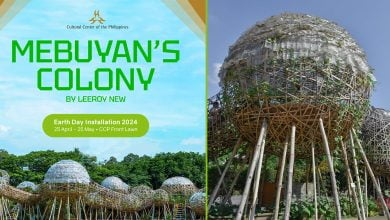 MEBUYANS COLONY IN CCP FUNCTION BEYOND THE FANTASTICAL HERO