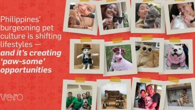 Philippines burgeoning pet culture is shifting lifestyles HERO