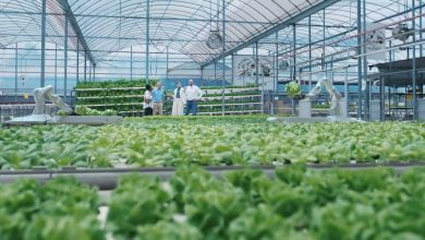 Singapore Tourism Board launches global MICE campaign HERO2