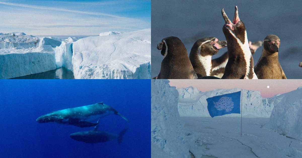 The Antarctica flag is being redesigned hero