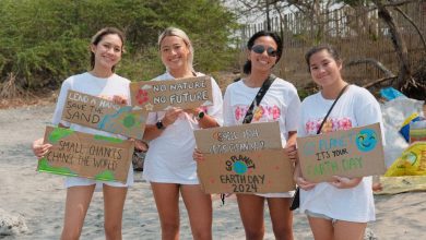 Blackbough Swim cleans up beach and starts fundraiser for endangered pawikan hero