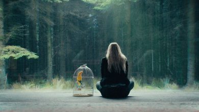 Irish folklore with The Watchers hero