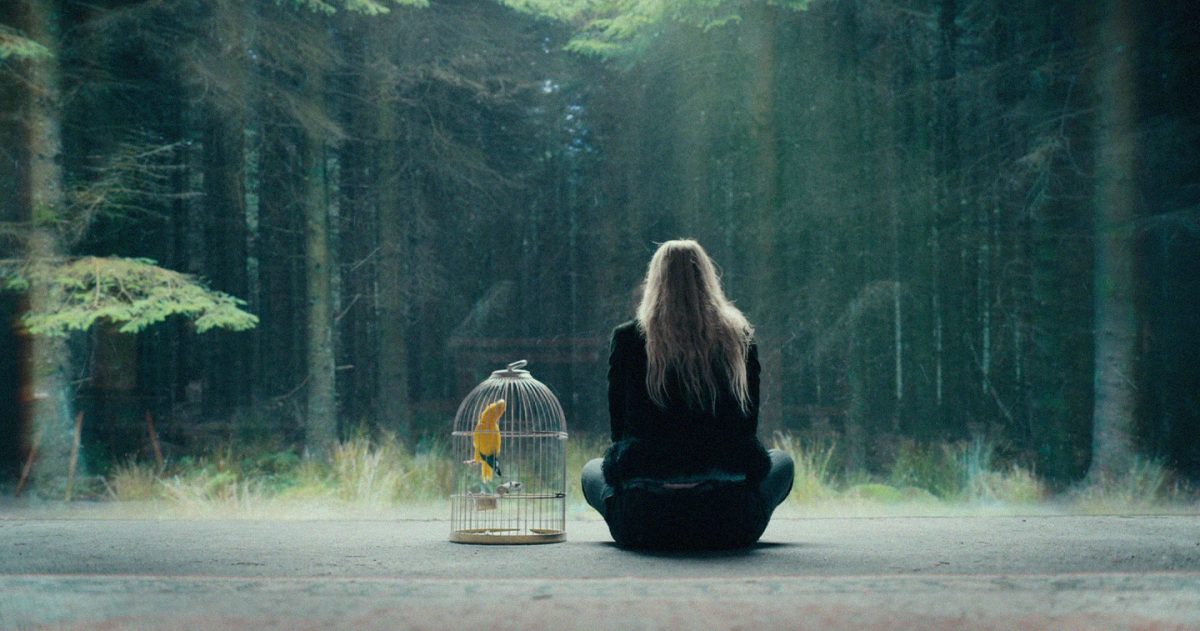 Irish folklore with The Watchers hero