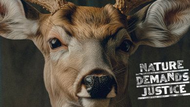 New social campaign gives nature a voice and calls HERO