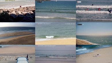 decathlon pioneers natural rubber alternative to neoprene wetsuit in inventive campaign