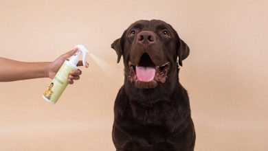 Dr Shiba debuts natural anti tick hero