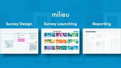 Milieu Insight cements globa hero