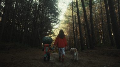 Bradesco Seguros Group Campaign