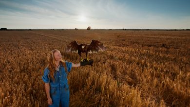 How Koskenkorva takes sustainability hero