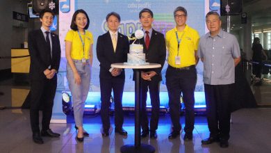 CebuPac direct flights to Sapporo hero