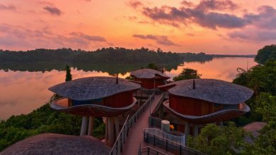 Mandai Rainforest Resort by Banyan hero