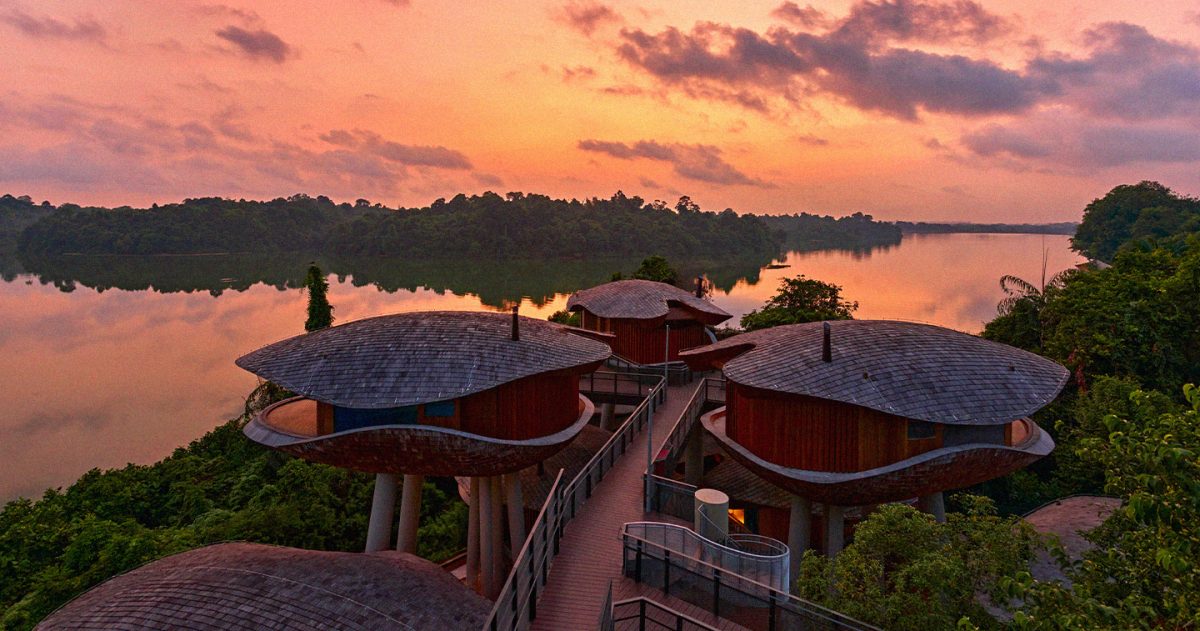 Mandai Rainforest Resort by Banyan hero