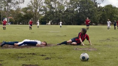 OMO urges a comeback to sport hero