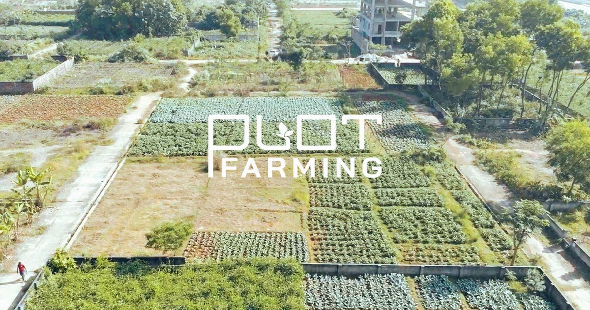 POP5 leads Shopnodhora hero