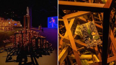 Robert Zhao Renhui Venice Born Masterpiece hero