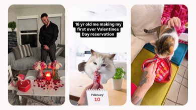 Feline filled Valentines Day hero