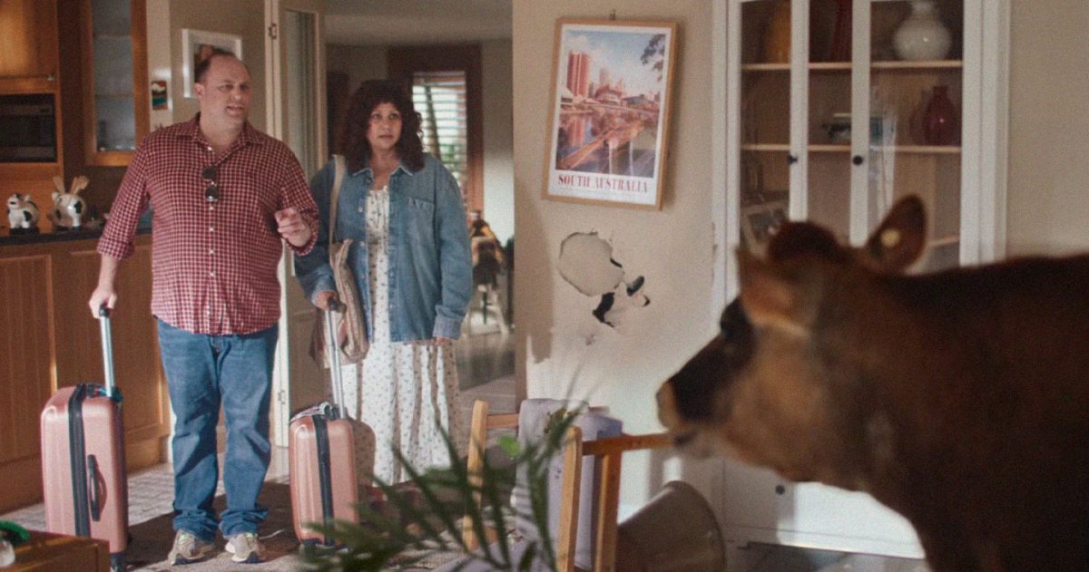 AAMI’s latest brand film turns Aussie luck into a story of wins and wobbles